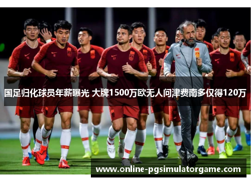 国足归化球员年薪曝光 大牌1500万欧无人问津费南多仅得120万