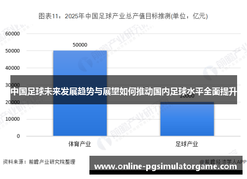 中国足球未来发展趋势与展望如何推动国内足球水平全面提升