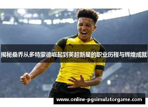 揭秘桑乔从多特蒙德崛起到英超新星的职业历程与辉煌成就
