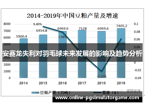安赛龙失利对羽毛球未来发展的影响及趋势分析