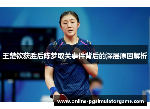 王楚钦获胜后陈梦取关事件背后的深层原因解析