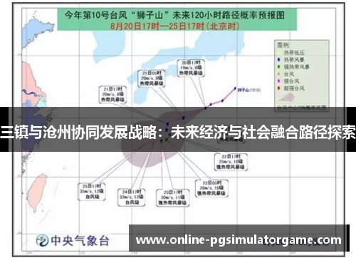 三镇与沧州协同发展战略：未来经济与社会融合路径探索