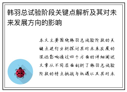 韩羽总试验阶段关键点解析及其对未来发展方向的影响