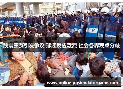 魏震禁赛引发争议 球迷反应激烈 社会各界观点分歧