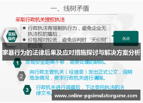 家暴行为的法律后果及应对措施探讨与解决方案分析
