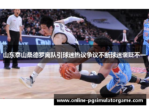 山东泰山桑德罗离队引球迷热议争议不断球迷褒贬不一