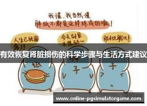 有效恢复肾脏损伤的科学步骤与生活方式建议