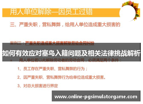 如何有效应对塞鸟入籍问题及相关法律挑战解析