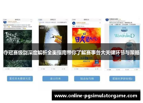 夺冠赛级别深度解析全面指南带你了解赛事各大关键环节与策略