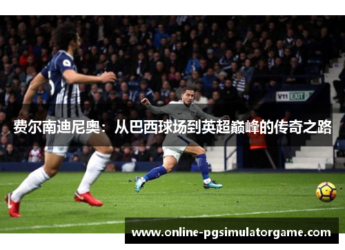 费尔南迪尼奥:从巴西球场到英超巅峰的传奇之路 费尔南迪尼奥:从巴西球场到英超巅峰的传奇之路