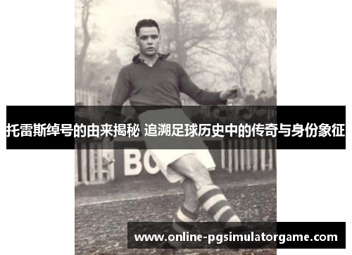 托雷斯绰号的由来揭秘 追溯足球历史中的传奇与身份象征